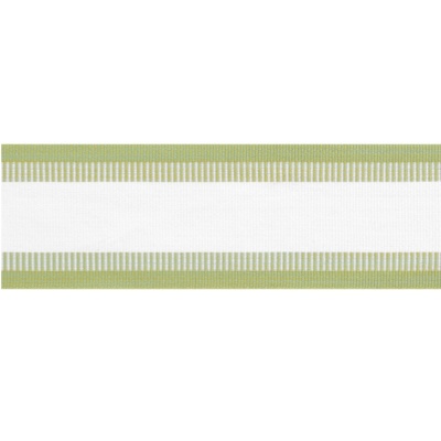 Thibaut Nordia Tape in Spring Green