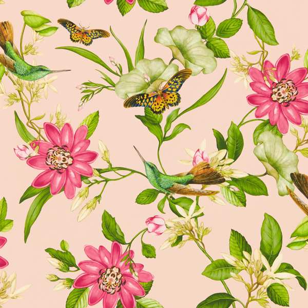 Clarke & Clarke Pink Lotus Wallpaper in Blush