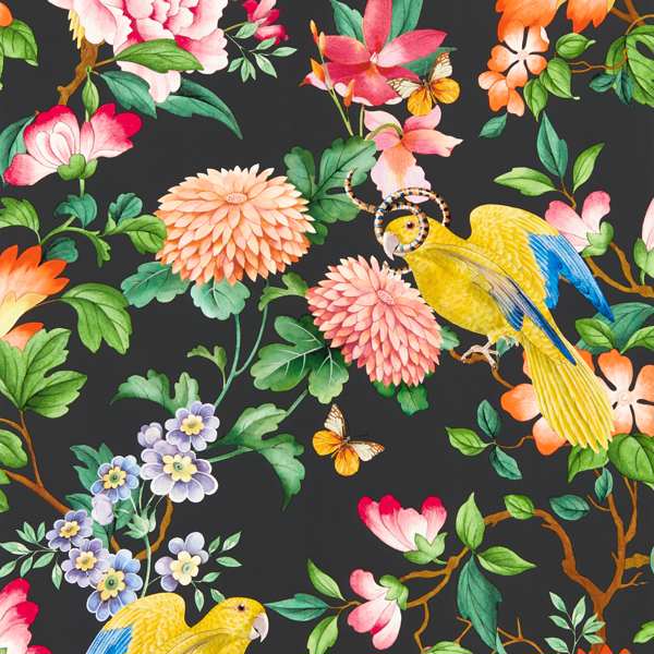 Clarke & Clarke Golden Parrot Wallpaper in Noir