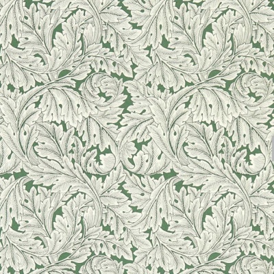 Clarke & Clarke Acanthus Wallpaper in Sage