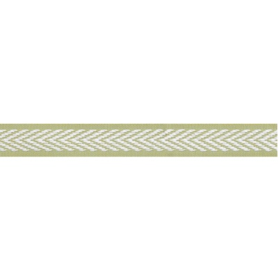 Thibaut Westport Tape in Spring Green