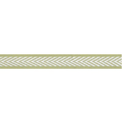 Thibaut Westport Tape in Spring Green