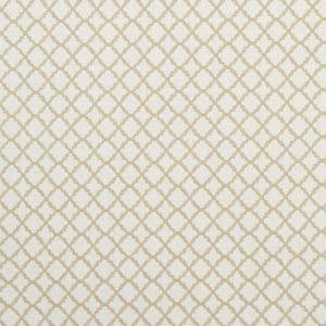 Clarke and Clarke Ariyana Fabric in Ivory