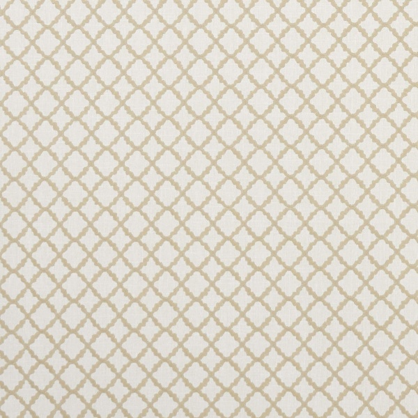 Clarke and Clarke Ariyana Fabric in Natural