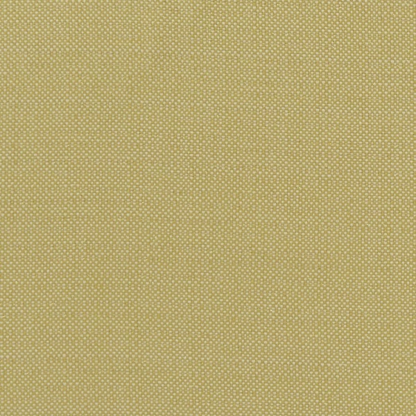 Clarke and Clarke Kauai  Fabric in Citron