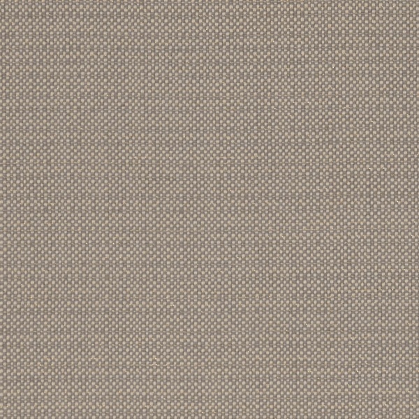 Clarke and Clarke Kauai  Fabric in Mocha