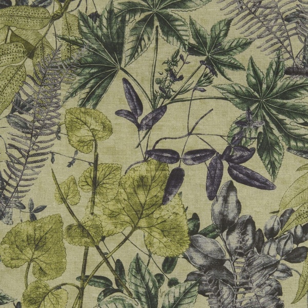 Clarke and Clarke Madagascar Fabric in Forest