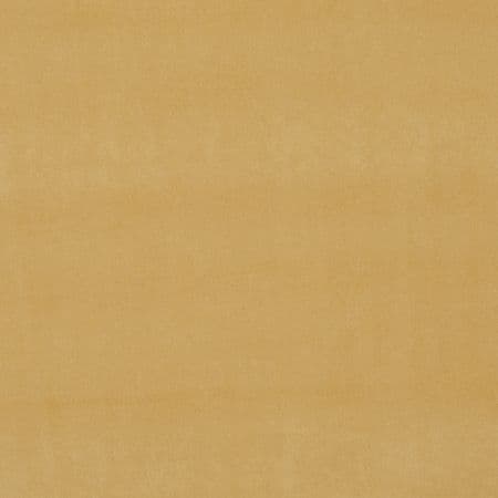 Clarke & Clarke Alvar in Gold