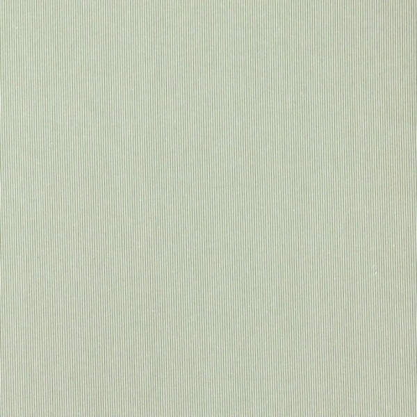 Clarke & Clarke Breton in Sage