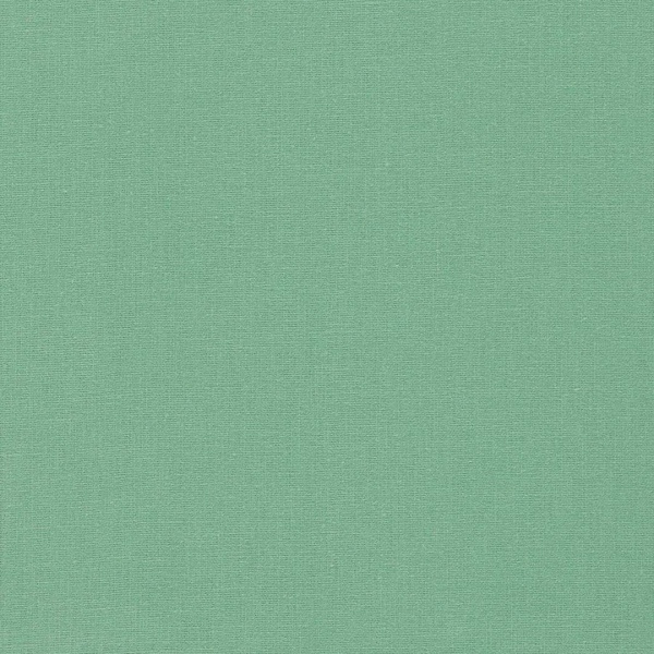 Clarke & Clarke Lazio Linen  in Herb