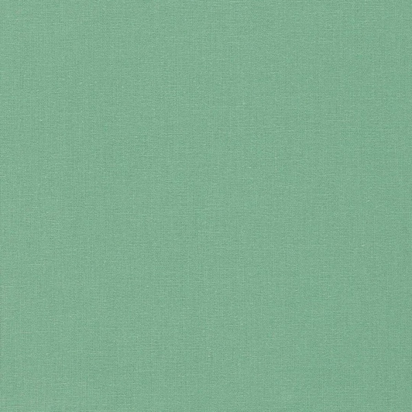 Clarke & Clarke Lazio Linen  in Herb