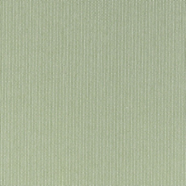 Clarke & Clarke Spencer in Sage