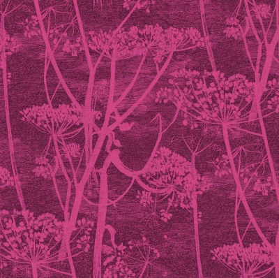 Cole and Son Cow Parsley Velvet in Magenta