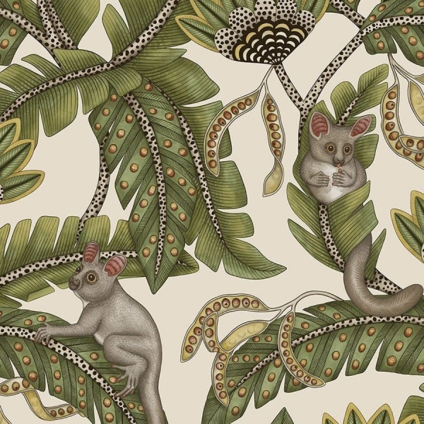 Cole & Son Bush Baby  Wallpaper 119/7032