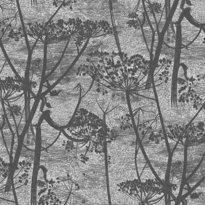 Cole & Son Cow Parsley Wallpaper 112/8026