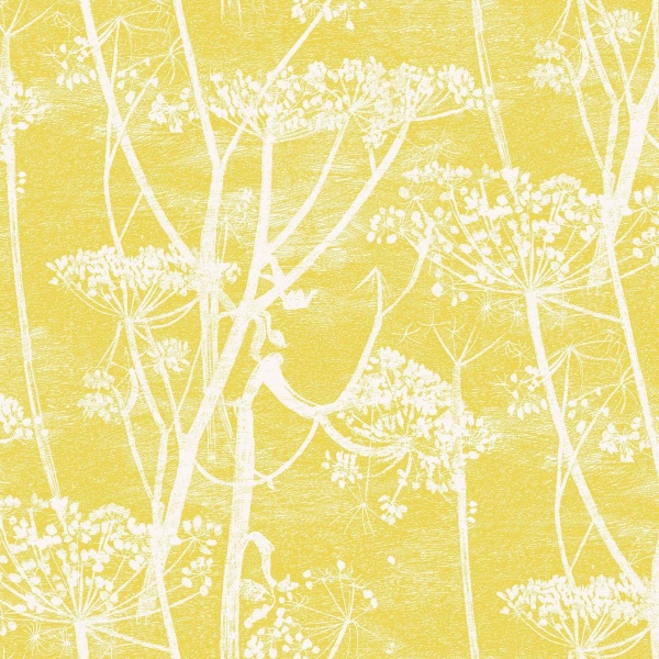 Cole & Son Cow Parsley Wallpaper 66/7051