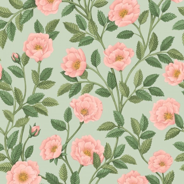 Cole & Son Hampton Roses Wallpaper  118/7014