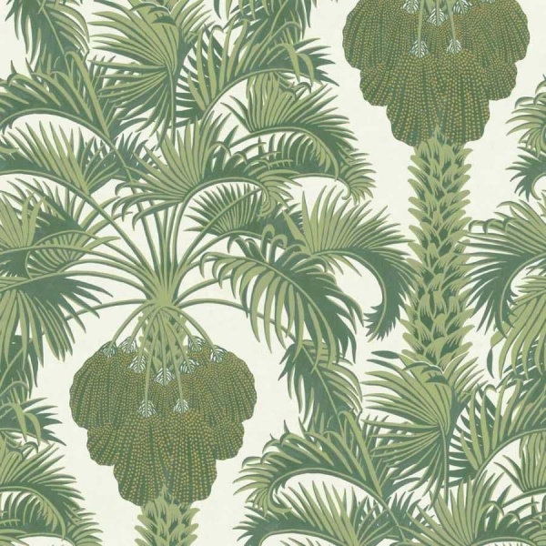 Cole & Son Hollywood Palm  Wallpaper 113/1004