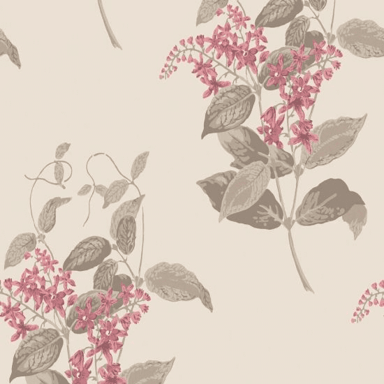 Cole & Son Madras Violet Wallpaper 100/12058