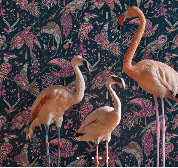 Emma Shipley Animalia Wallpaper norfolktextiles.co.uk