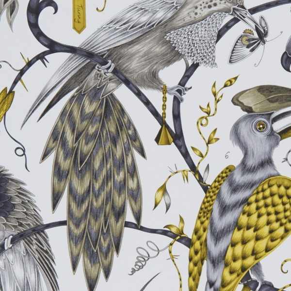 Emma Shipley Audubon Wallpaper in Gold