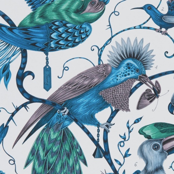 Emma Shipley Audubon Wallpaper in Jungle