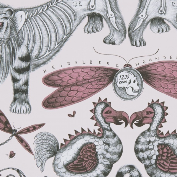 Emma Shipley Extinct Wallpaper in Pink