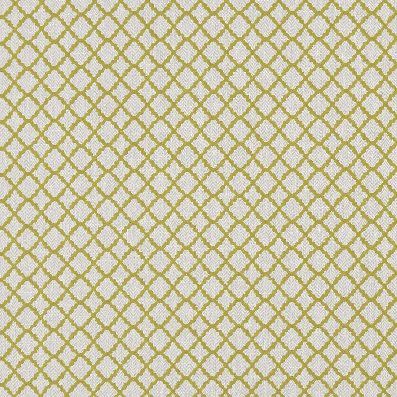 Clarke and Clarke Ariyana Fabric in Chartreuse