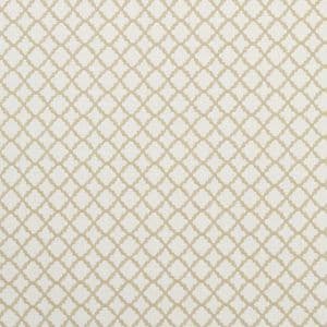 Clarke and Clarke Ariyana Fabric in Ivory