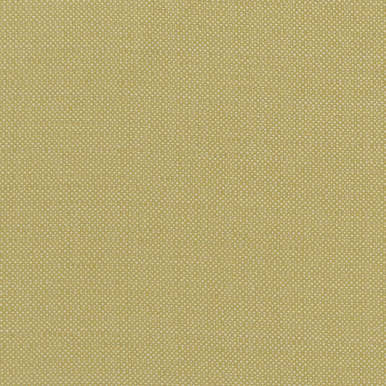 Clarke and Clarke Kauai  Fabric in Citron