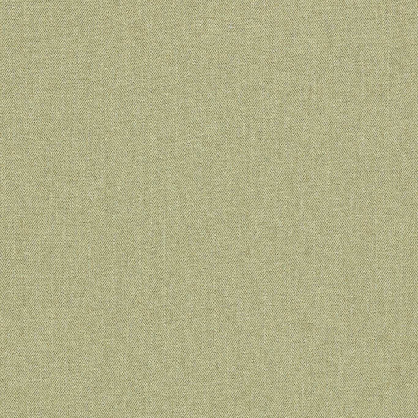 Clarke & Clarke Rowland in Olive