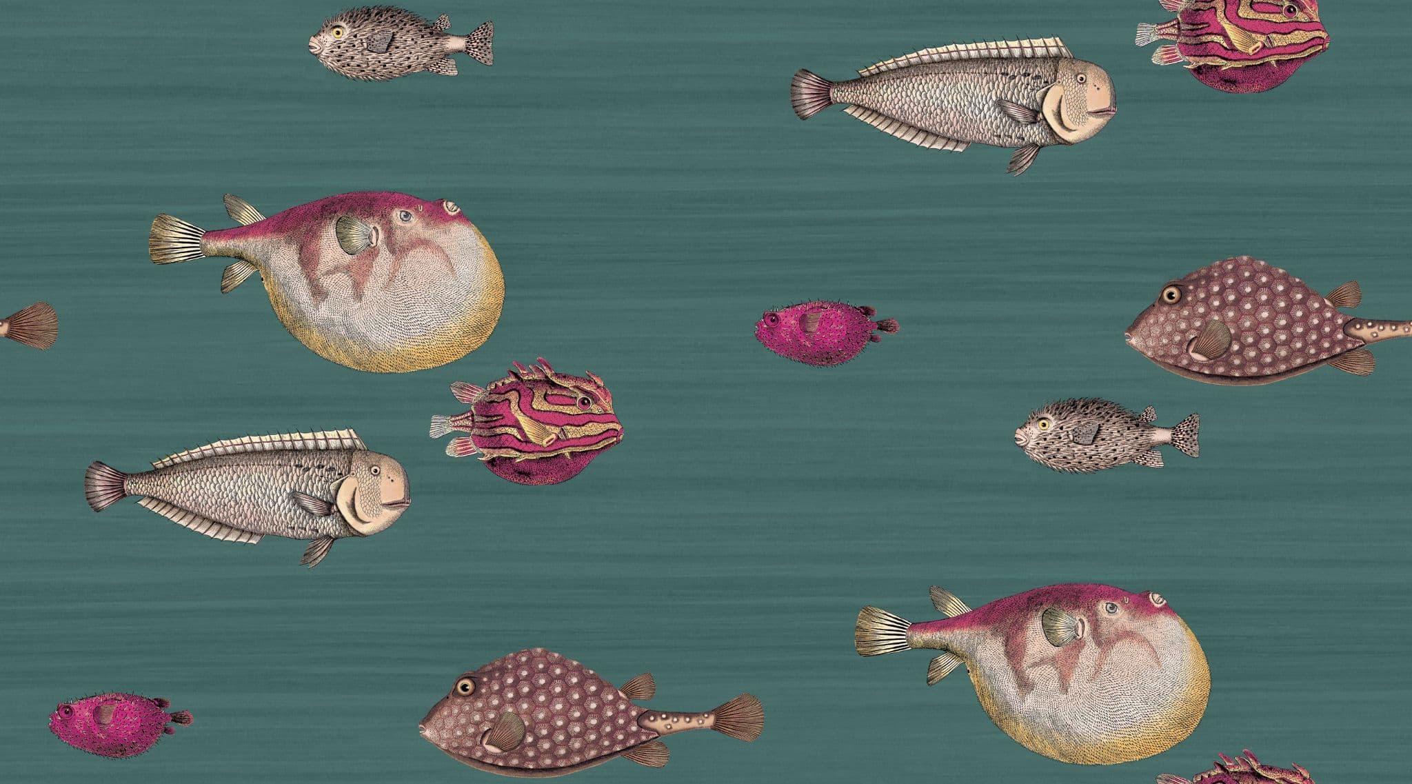 Cole & Son Acquario Wallpaper 114/12024 norfolktextiles.co.uk