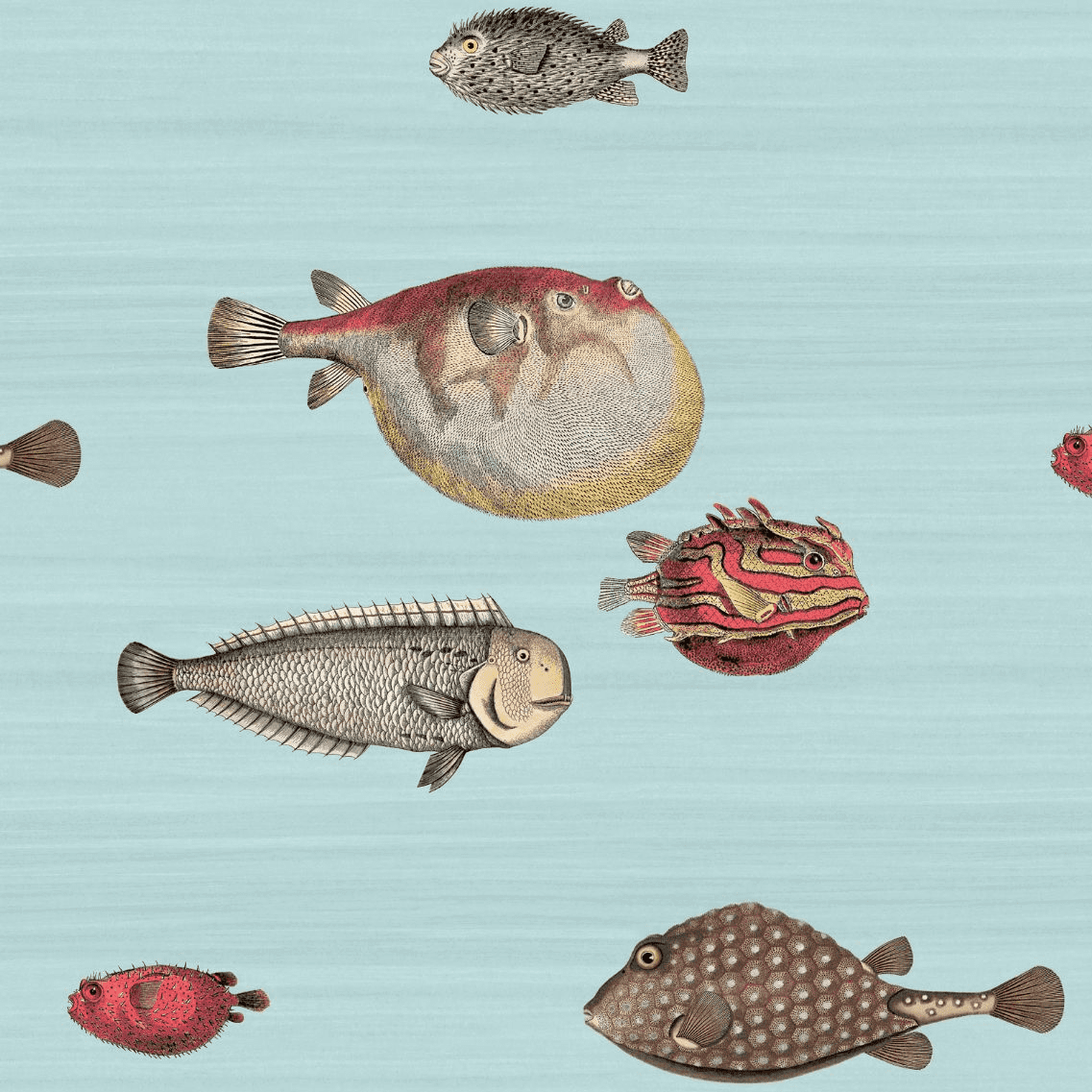 Cole & Son Acquario Wallpaper 97/10030