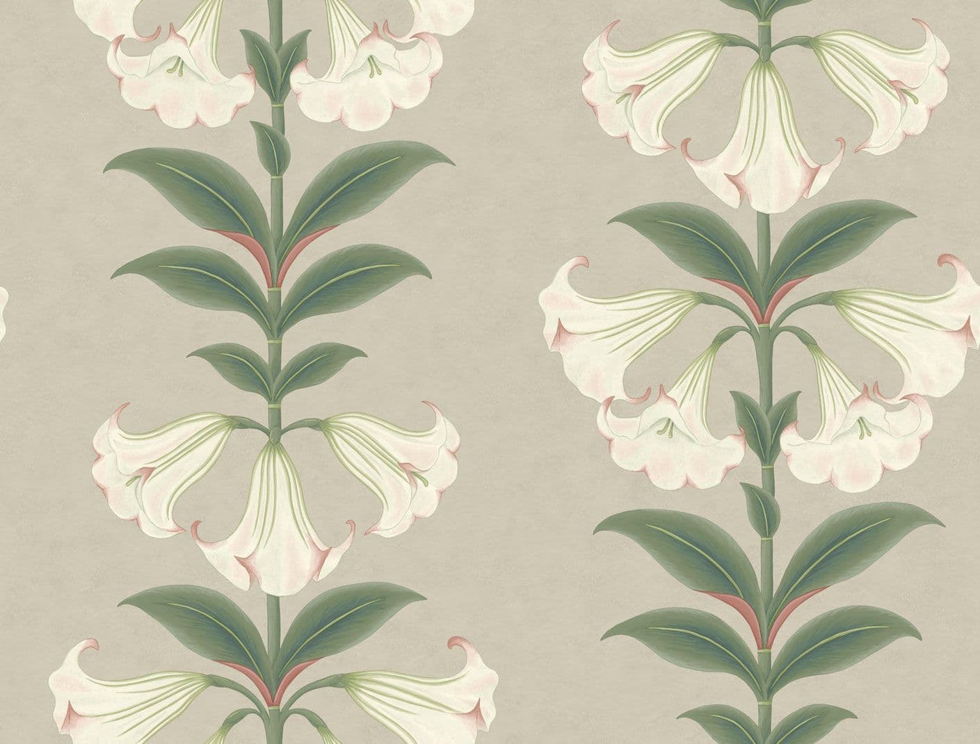 Cole & Son Angel's Trumpet Wallpaper 117/3007