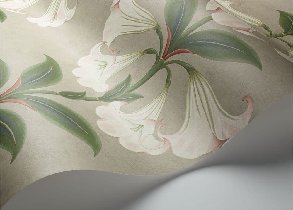 Cole & Son Angel's Trumpet Wallpaper 117/3007