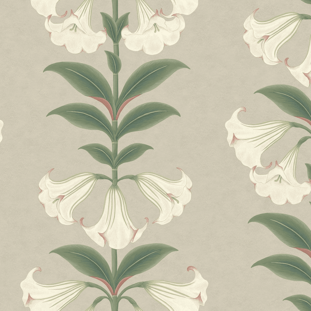 Cole & Son Angel's Trumpet Wallpaper 117/3007