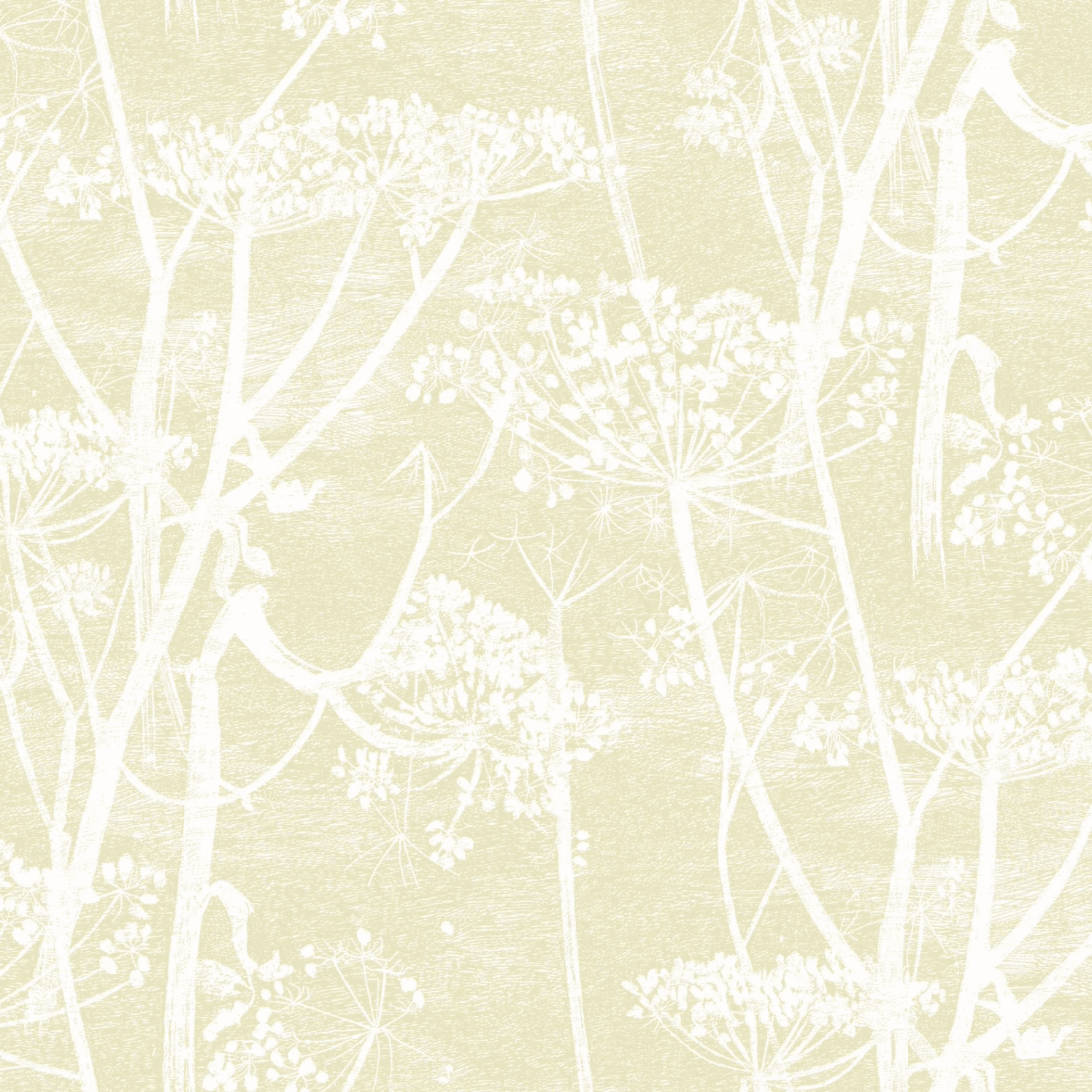 Cole & Son Cow Parsley Wallpaper 95/9053