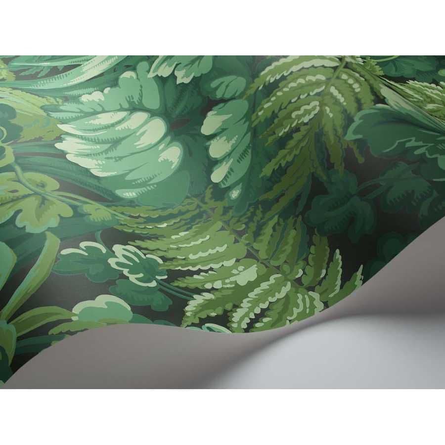 Cole & Son Royal Fernery Wallpaper 113/3009 norfolktextiles.co.uk
