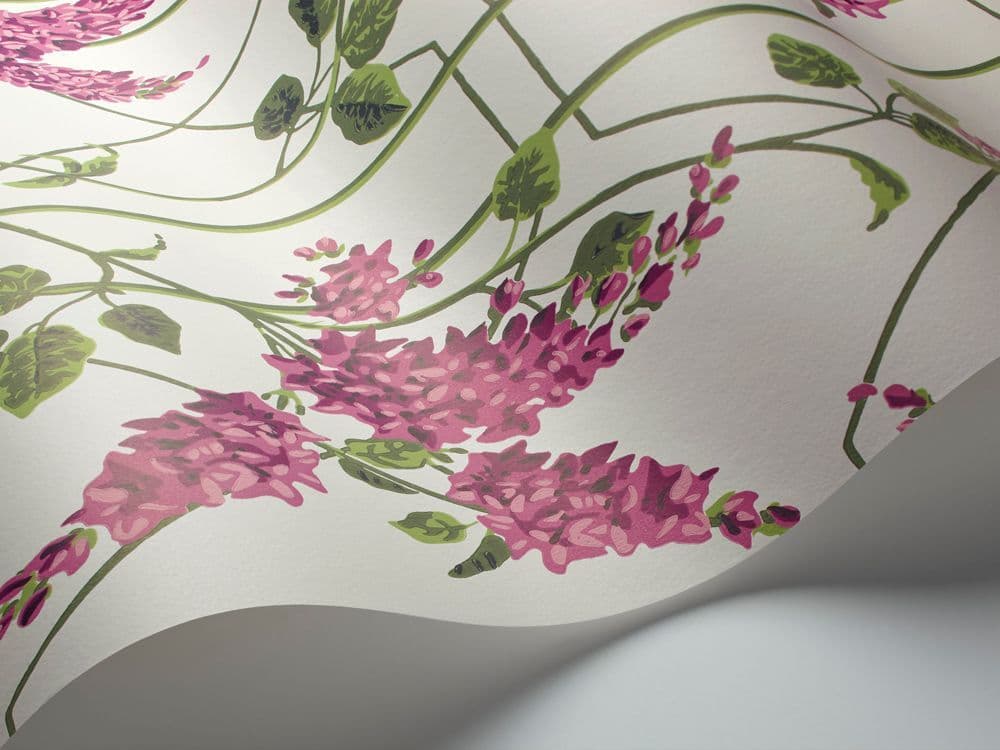 Cole & Son Wisteria Wallpaper 115/5013 norfolktextiles.co.uk