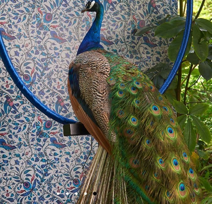 Emma Shipley Amazon Wallpaper in Navy norfolktextiles.co.uk