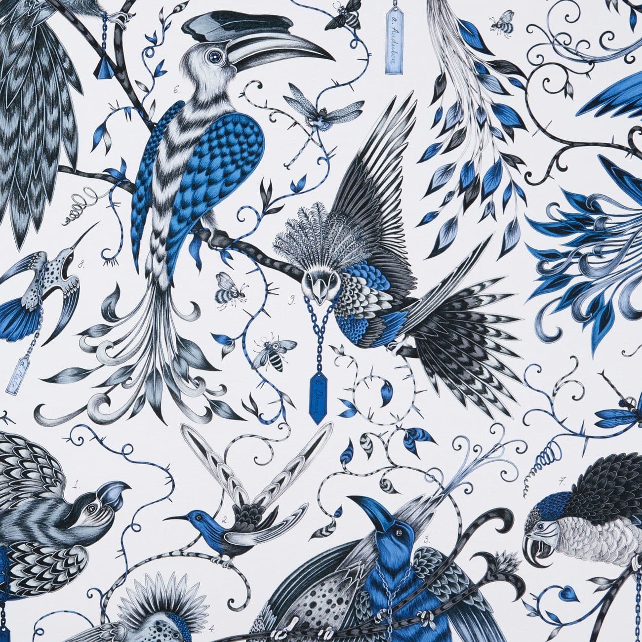 Emma Shipley Audubon in Blue