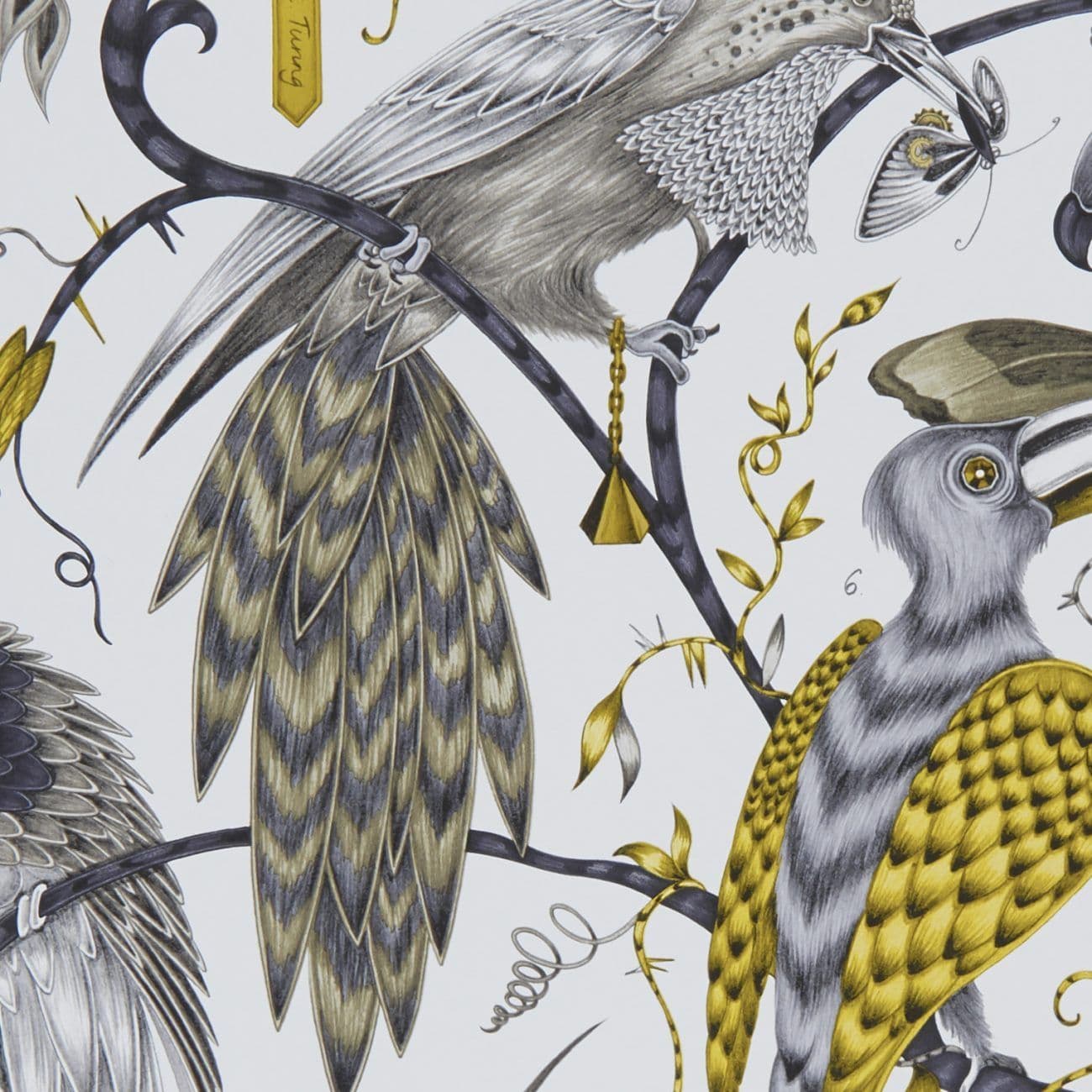 Emma Shipley Audubon Wallpaper in Gold