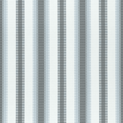 Thibaut Samba Stripe Fabric in Charcoal and Mineral