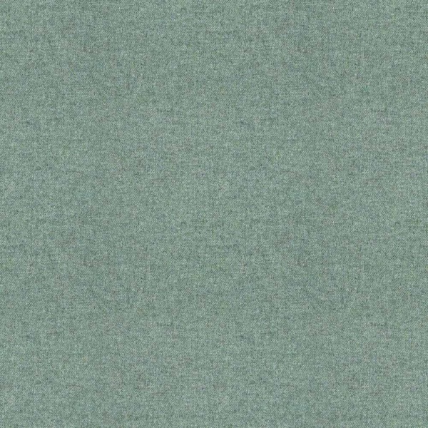 Moon Earth in Sage