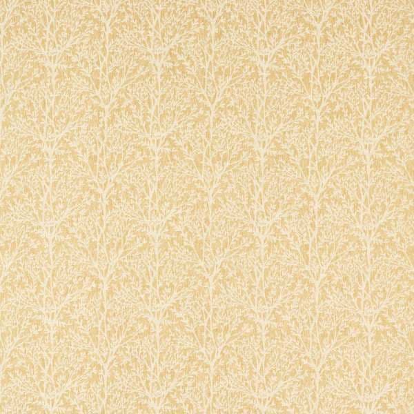 Studio G Croft in Ochre