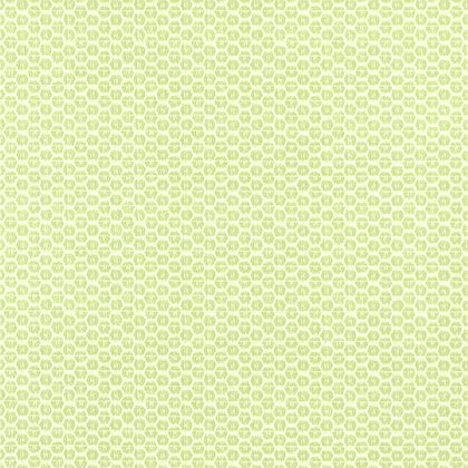 Thibaut Akari Wallpaper in Spring