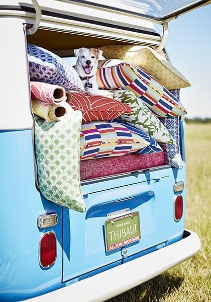 Thibaut Carnivale Fabric in Fruit Punch