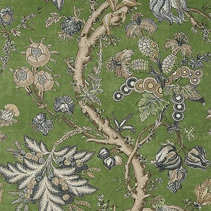 Thibaut Chatelain Wallpaper in Green