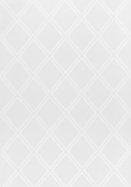 Thibaut Diamond Head Embroidery in White