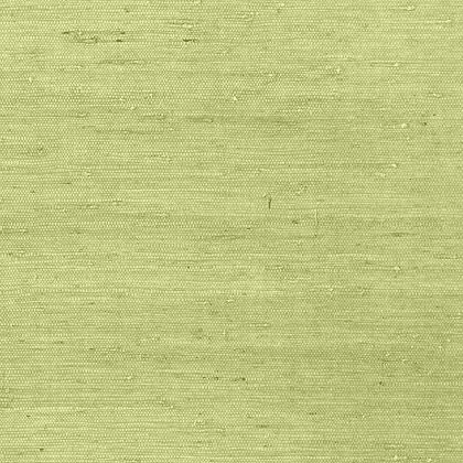 Thibaut Maranta Wallpaper in Green